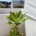 דירה Casa Al Mare Kalispera *